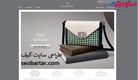 طراحی سایت کیف