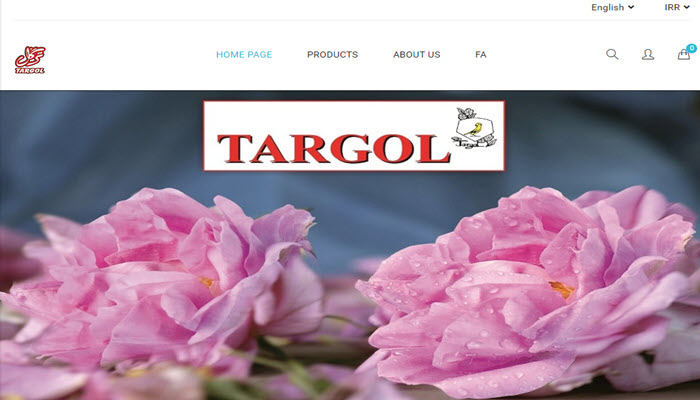 طراحی سایت ایران ترگل