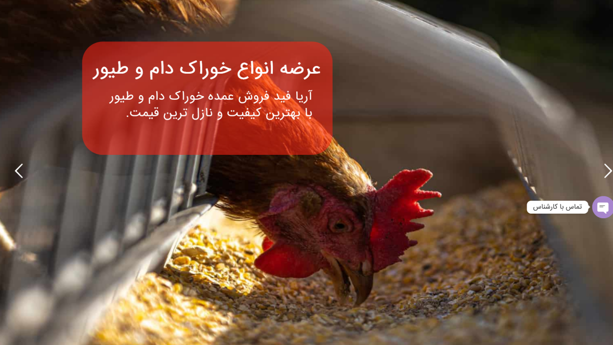 طراحی  و بهینه سازی سایت آریا فید 