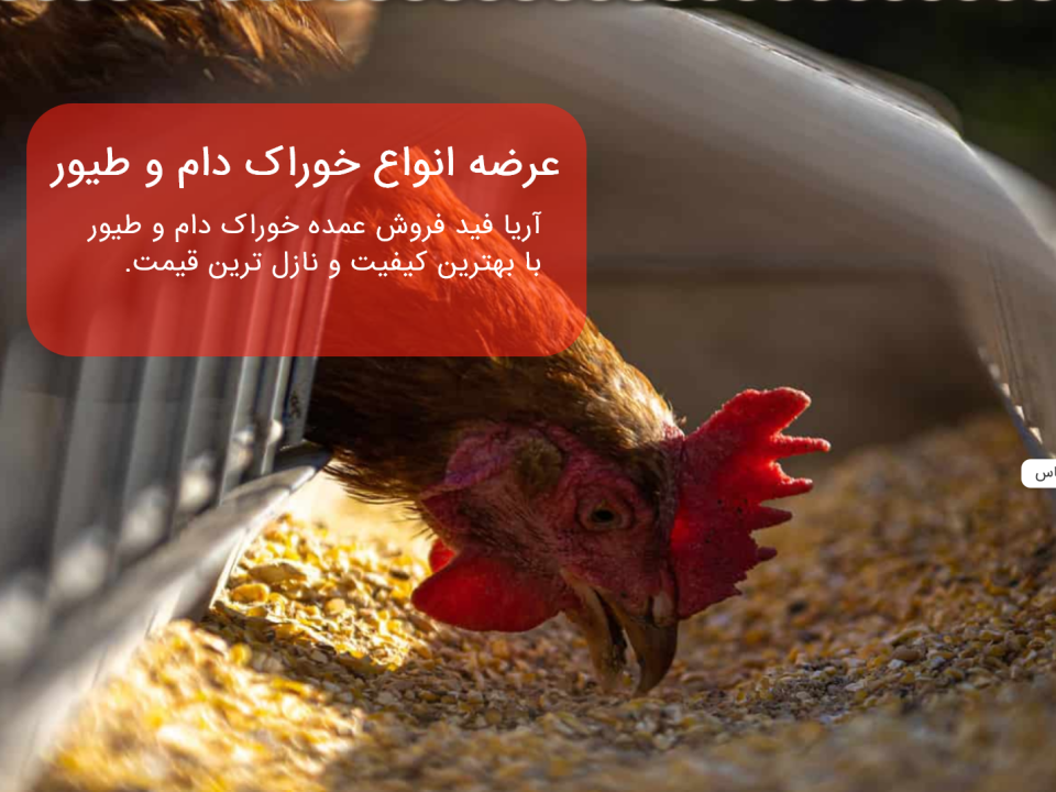 طراحی و بهینه سازی سایت آریا فید