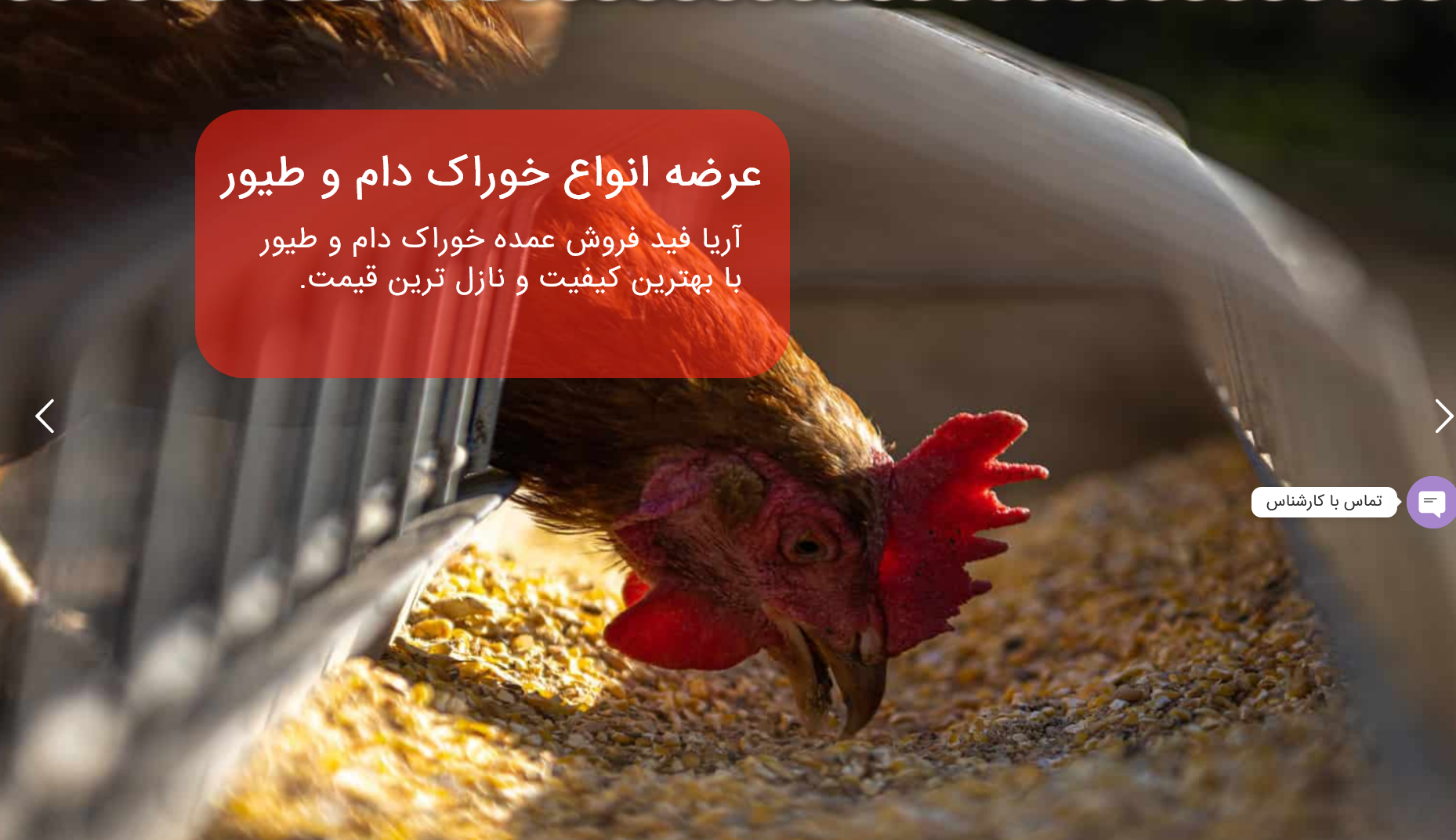 طراحی  و بهینه سازی سایت آریا فید 